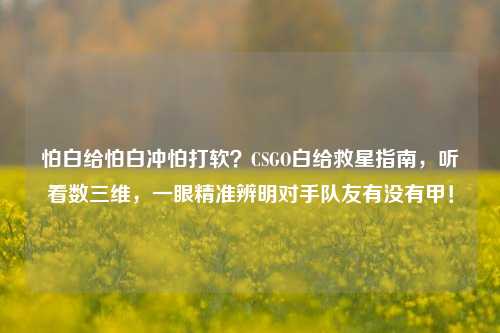 怕白给怕白冲怕打软?CSGO白给救星指南,听看数三维,一眼精准辨明对手队友有没有甲!