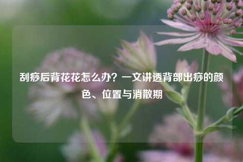 刮痧后背花花怎么办?一文讲透背部出痧的颜色、位置与消散期