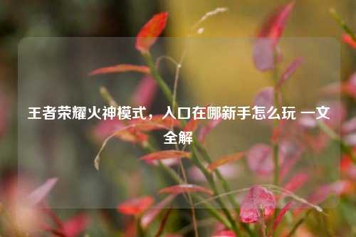 王者荣耀火神模式,入口在哪新手怎么玩 一文全解