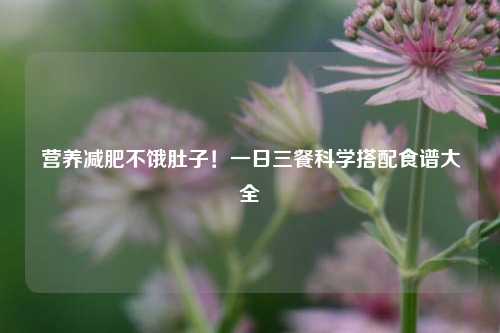 营养减肥不饿肚子!一日三餐科学搭配食谱大全