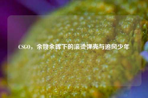 CSGO,余姚余晖下的滚烫弹壳与追风少年