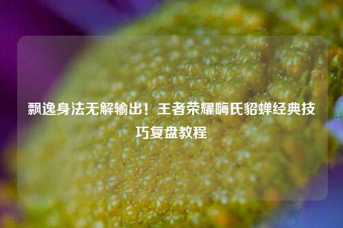 飘逸身法无解输出!王者荣耀嗨氏貂蝉经典技巧复盘教程