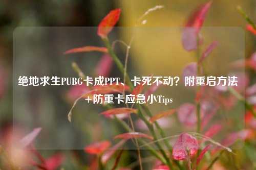 绝地求生PUBG卡成PPT、卡死不动?附重启方法+防重卡应急小Tips