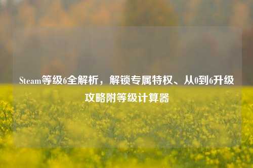 Steam等级6全解析，解锁专属特权、从0到6升级攻略附等级计算器