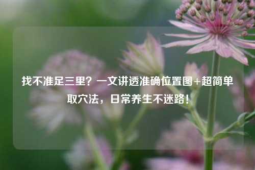 找不准足三里?一文讲透准确位置图+超简单取穴法,日常养生不迷路!