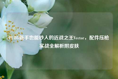 PUBG新手也能秒人的近战之王Vector，配件压枪实战全解析附皮肤