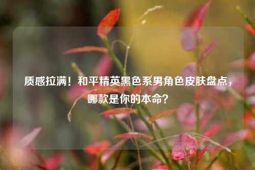质感拉满!和平精英黑色系男角色皮肤盘点,哪款是你的本命?