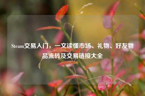 Steam交易入门，一文读懂市场、礼物、好友物品流转及交易链接大全