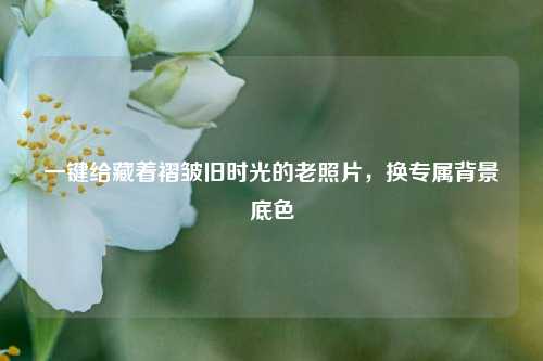 一键给藏着褶皱旧时光的老照片,换专属背景底色