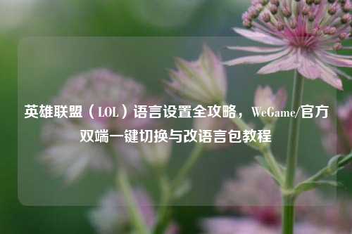英雄联盟(LOL)语言设置全攻略,WeGame/官方双端一键切换与改语言包教程