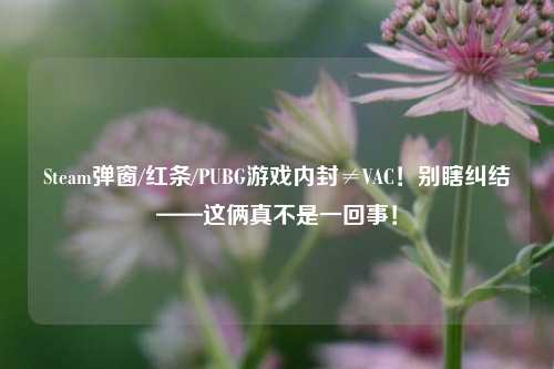 Steam弹窗/红条/PUBG游戏内封≠VAC!别瞎纠结——这俩真不是一回事!