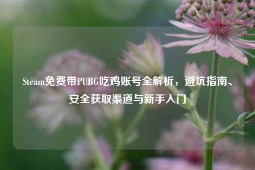 Steam免费带PUBG吃鸡账号全解析,避坑指南、安全获取渠道与新手入门