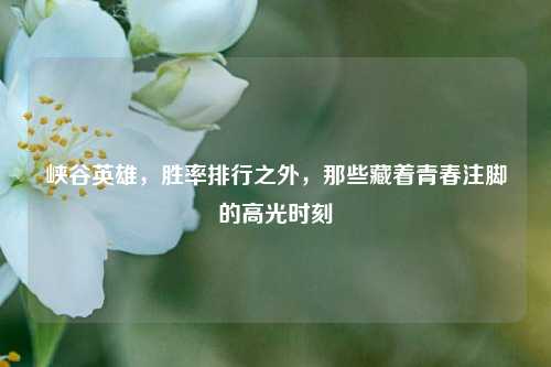 峡谷英雄，胜率排行之外，那些藏着青春注脚的高光时刻