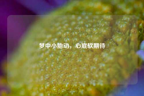梦中小胎动,心底软期待