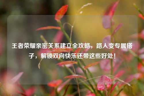 王者荣耀亲密关系建立全攻略，路人变专属搭子，解锁双向快乐还带这些好处！