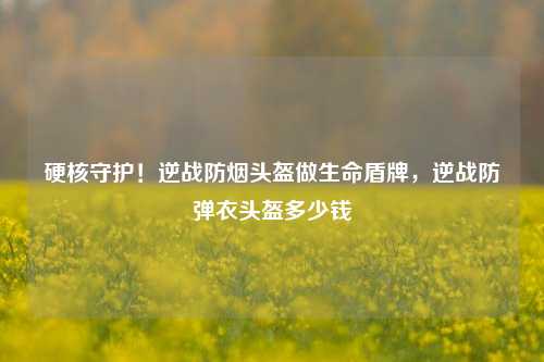 硬核守护!逆战防烟头盔做生命盾牌,逆战防弹衣头盔多少钱
