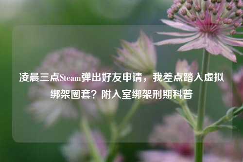 凌晨三点Steam弹出好友申请,我差点踏入虚拟绑架圈套?附入室绑架刑期科普