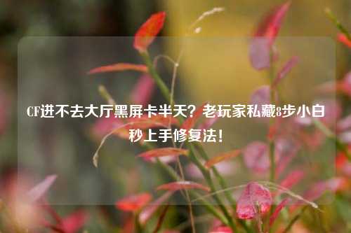 CF进不去大厅黑屏卡半天?老玩家私藏8步小白秒上手修复法!