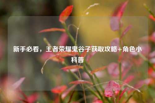 新手必看,王者荣耀鬼谷子获取攻略+角色小科普