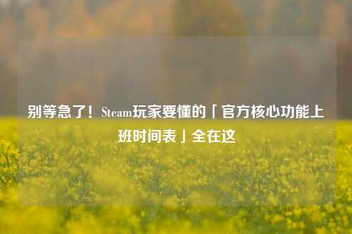 别等急了!Steam玩家要懂的「官方核心功能上班时间表」全在这