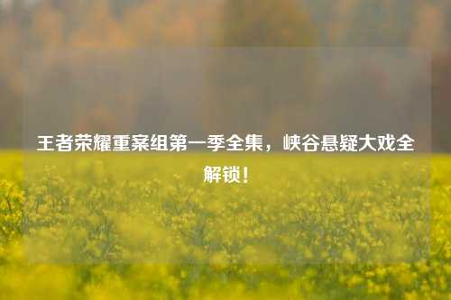 王者荣耀重案组第一季全集,峡谷悬疑大戏全解锁!