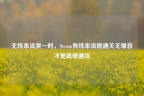 无线串流爽一时,Steam有线串流稳通关无爆音才是真硬通货