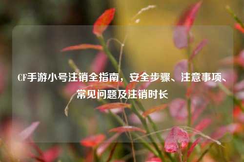 CF手游小号注销全指南，安全步骤、注意事项、常见问题及注销时长