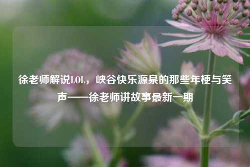 徐老师解说LOL,峡谷快乐源泉的那些年梗与笑声——徐老师讲故事最新一期