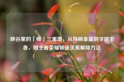 峡谷里的「师」三重境,从拜师拿蓝到学做王者,附王者荣耀师徒关系解除方法
