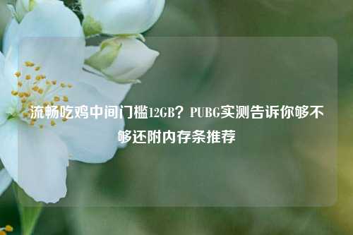流畅吃鸡中间门槛12GB？PUBG实测告诉你够不够还附内存条推荐