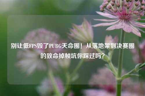 别让低FPS毁了PUBG天命圈!从落地架到决赛圈的致命掉帧坑你踩过吗?