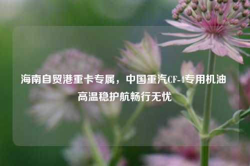 海南自贸港重卡专属,中国重汽CF-4专用机油 高温稳护航畅行无忧