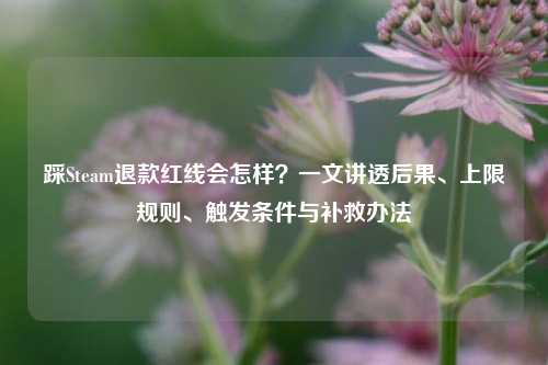 踩Steam退款红线会怎样?一文讲透后果、上限规则、触发条件与补救办法