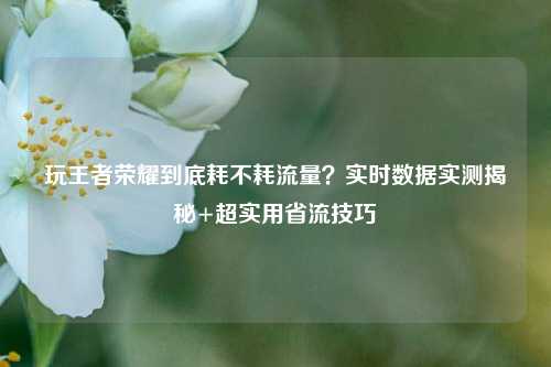 玩王者荣耀到底耗不耗流量？实时数据实测揭秘+超实用省流技巧