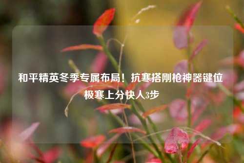 和平精英冬季专属布局!抗寒搭刚枪神器键位 极寒上分快人3步