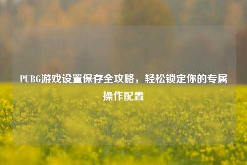 PUBG游戏设置保存全攻略,轻松锁定你的专属操作配置