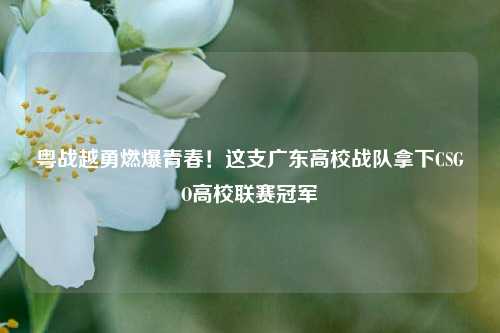 粤战越勇燃爆青春!这支广东高校战队拿下CSGO高校联赛冠军