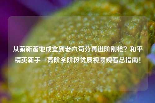 从萌新落地成盒到老六苟分再进阶刚枪?和平精英新手→高阶全阶段优质视频观看总指南!