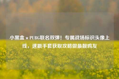 小黑盒×PUBG联名双弹！专属战场标识头像上线，速戳手套获取攻略做最靓鸡友