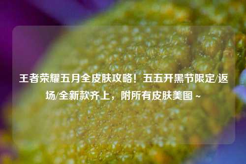 王者荣耀五月全皮肤攻略!五五开黑节限定/返场/全新款齐上,附所有皮肤美图~