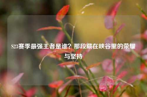 S23赛季最强王者是谁?那段藏在峡谷里的荣耀与坚持