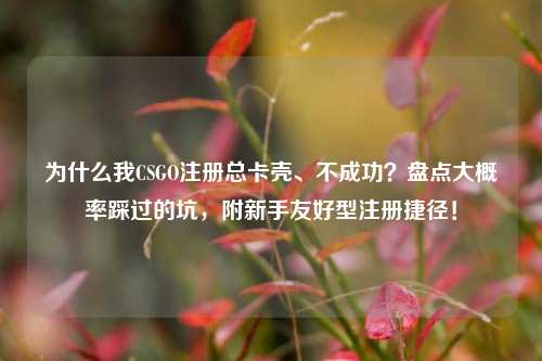 为什么我CSGO注册总卡壳、不成功？盘点大概率踩过的坑，附新手友好型注册捷径！