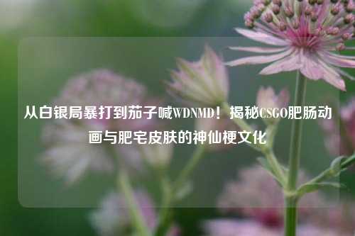 从白银局暴打到茄子喊WDNMD!揭秘CSGO肥肠动画与肥宅皮肤的神仙梗文化