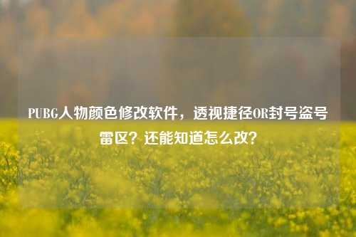 PUBG人物颜色修改软件,透视捷径OR封号盗号雷区?还能知道怎么改?