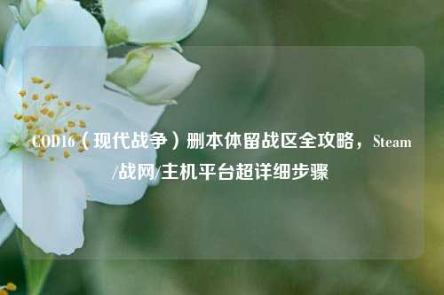 COD16(现代战争)删本体留战区全攻略,Steam/战网/主机平台超详细步骤