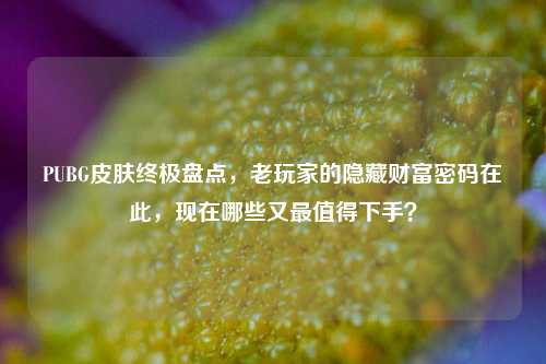 PUBG皮肤终极盘点，老玩家的隐藏财富密码在此，现在哪些又最值得下手？