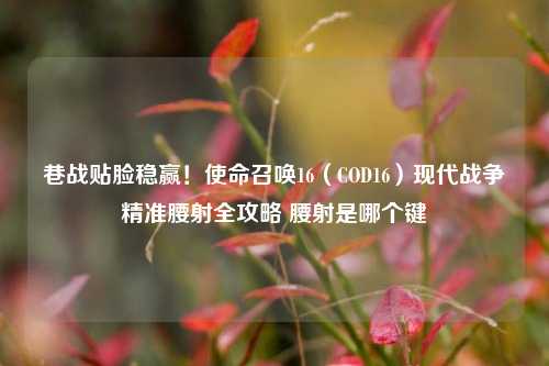 巷战贴脸稳赢！使命召唤16（COD16）现代战争精准腰射全攻略 腰射是哪个键