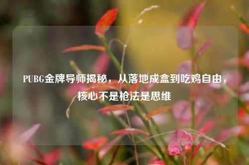 PUBG金牌导师揭秘,从落地成盒到吃鸡自由,核心不是枪法是思维