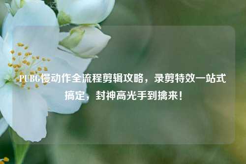 PUBG慢动作全流程剪辑攻略,录剪特效一站式搞定,封神高光手到擒来!