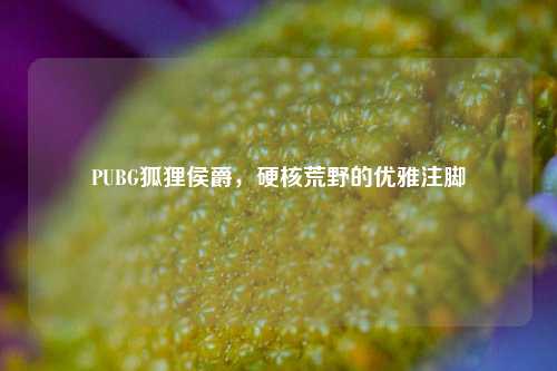 PUBG狐狸侯爵,硬核荒野的优雅注脚